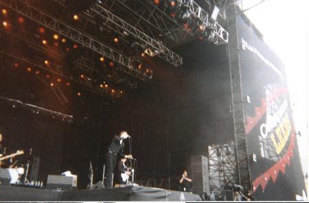 thehives2.jpg